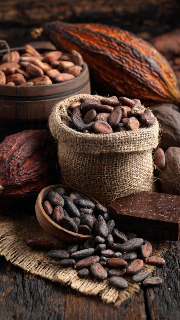 corporate industrial cocoa procurement solutions